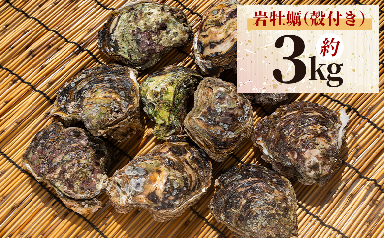 ïŒå
è¡äºçŽïŒå²©ç¡è £(æ®»ä»ã) 3kg å·èµ å ç±çš ïŒåºè·æéïŒ2026幎5æïœ10æïŒ åœç£ ã«ã ãã ç¡è £ éä» æµ·é®® è²é¡ æ®»ã€ã å€©ç¶ ç£å°çŽé èå ãã©ã€ çŒãç¡è £ æµ·ã®å¹ž ãã³èµ é«ç¥ç éŠååž å·èµ eb-0035