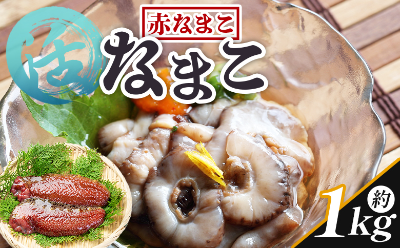 活ナマコ 1kg 赤ナマコ - 国産 産地直送 赤なまこ なまこ ナマコ 海鼠 海産物 海鮮 魚介類 刺身 刺し身 炒め物 塩辛 このわた えび蔵 高知県 香南市 冷蔵 eb-0039
