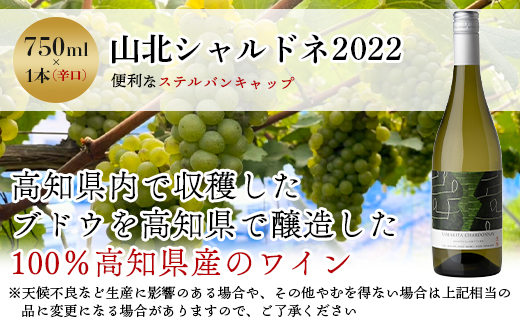 高知県産ワイン tosa cavatina 山北シャルドネ2022 (750ml×1本) - 白 ワイン 辛口 お酒 さけ アルコール ボトル 瓶 おしゃれ プレゼント ギフト お祝い 内祝い 送料無料 贈り物 贈答品 贈答用 熨斗 のし対応 可能 美味しい おいしい 料理に合う 晩酌 ステルバンキャップ スクリューキャップ 高知県 香南市 冷蔵 iw-0004