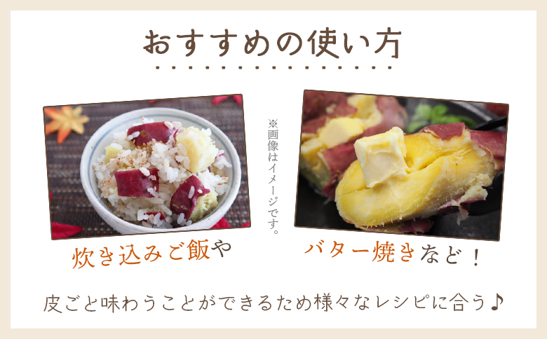 【８月発送開始】さつまいも（土佐紅）2kg yr-0042