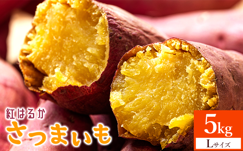 さつまいも(紅はるか) Lサイズ 5kg- サツマイモ さつま芋 野菜 焼き芋 やきいも 焼いも 蒸し芋 おやつ スイーツ スイートポテト 国産 アスタ農園 高知県 香南市【常温】 at-0062