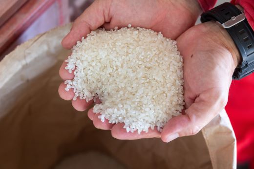 【3ヵ月定期便】 よさこい舞（奇数月) 5kg 合計15kg - 令和8年 2026年 送料無料 こしひかり お米 おこめ コメ 美味しい おいしい 白米 ご飯 ごはん ライス のし 高知県 香南市 Wkr-0090