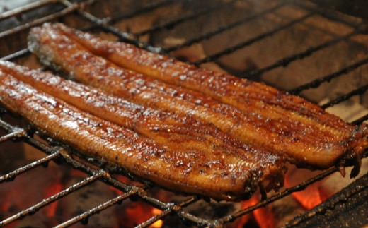 うなぎ 定期便 2回 うなぎ 蒲焼き 白焼き セット 120g 各1尾(無頭) 魚介 国産 海鮮 魚 かばやき 鰻 ウナギ 惣菜 おかず お手軽 しらやき 加工品 加工食品 冷凍 Wun-0051