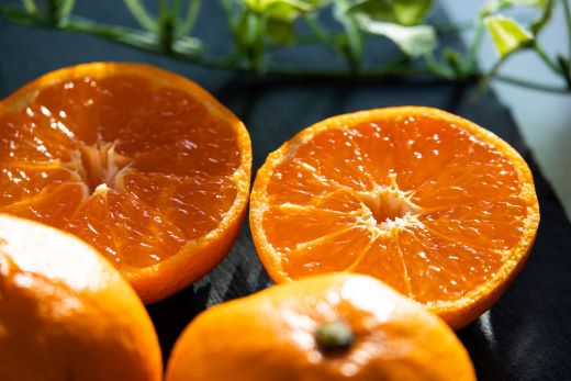 【2026年11月より順次配送】みかん 5kg sサイズ から Lサイズ 甘い 土佐乃かなや マルチ 山北みかん5kg - 柑橘 ミカン 果物 フルーツ be-0109