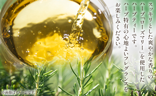 さわやかローズマリーハーブティー 合計36袋セット（3袋入り×12パック） - お茶 飲み物 飲料 ティーバッグ 茶葉 ティータイム はーぶ リラックス ギフト プレゼント 贈り物 熨斗対応可 のし 紅茶 お茶の時間 ほっと時間 温かい ほっと一息 美味しい おいしい ご挨拶 あいさつ 手土産 記念日 内祝い プレゼント 贈り物 贈答品 贈答用 おとりよせ お取り寄せ パーティ パック チャック 檸檬 レモングラス 爽やか さわやか いい香り GREEN BASE 高知県 香南市 常温 gr-0175