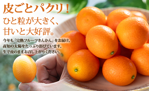 ãå
è¡åä»ããæ°ééå®ãé«ç¥ã®å€ªéœã济ã³ã å®çãã«ãŒããããã çŽ1kg å
è¡åä» - æç© ãã ãã® ãã³ã«ã³ éæ ããŸã ãããã ææ© éæç¡æ æééå® å£ç¯ãã® é«ç¥ç éŠååž ku-0032