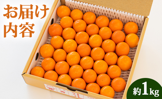 ãå
è¡åä»ããæ°ééå®ãé«ç¥ã®å€ªéœã济ã³ã å®çãã«ãŒããããã çŽ1kg å
è¡åä» - æç© ãã ãã® ãã³ã«ã³ éæ ããŸã ãããã ææ© éæç¡æ æééå® å£ç¯ãã® é«ç¥ç éŠååž ku-0032