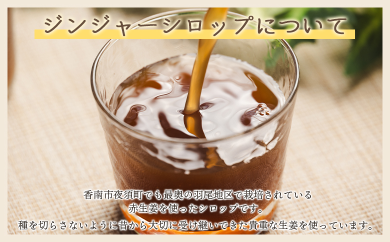 【3回定期便】やすらぎ市 ジンジャーシロップ200ml×5本 - 赤生姜 ショウガ あか しょうが 贈り物 おすそ分け 特産品 ジンジャーエール 料理 調味料 手作りドリンク お菓子 お歳暮 御歳暮 熱中症対策 高知県 香南市 Wyr-0056