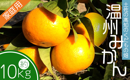 【先行予約】土佐の高知のくだもの畑 みかん(家庭用)10kg(5kg箱×2) - 温州みかん ミカン 訳アリ わけあり 蜜柑 ミカン 柑橘 柑橘類 フルーツ 果物 くだもの ご家庭用 ご自宅 美味しい おいしい 高知県 香南市 kd-0027