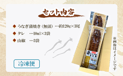 【7日程度で発送】うなぎ蒲焼き 3尾(合計約360g)(無頭) - 送料無料 鰻 ウナギ 魚介 晩ご飯 夕飯 おかず おつまみ スピード スタミナ 敬老の日 ギフト 贈答 贈り物 丑の日 うなぎ屋きた本 高知県 香南市 冷凍 un-0015