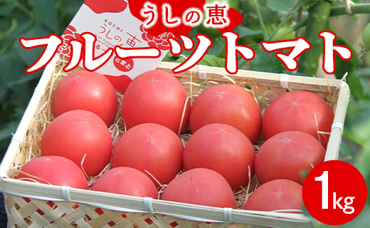 うしの恵 フルーツトマト籠入り1kg - 野菜 とまと 産地直送 料理 アレンジ サラダ 鍋 サンドイッチ 完熟 リコピン 甘い あまい フレッシュ さっぱり 贈答 お礼 御礼 おいしい 国産 高知県 香南市 常温 mj-0035