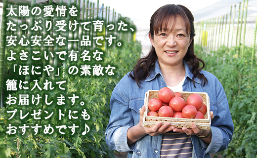 うしの恵 フルーツトマト籠入り1kg - 野菜 とまと 産地直送 料理 アレンジ サラダ 鍋 サンドイッチ 完熟 リコピン 甘い あまい フレッシュ さっぱり 贈答 お礼 御礼 おいしい 国産 高知県 香南市 常温 mj-0035