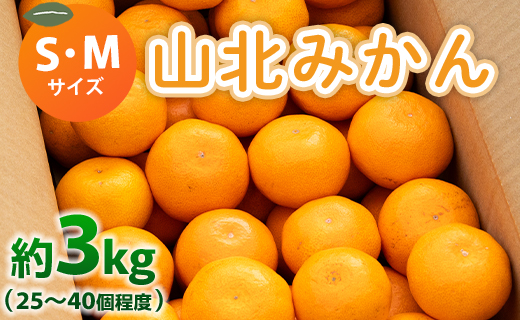 山北みかん (S,Mサイズ) 3kg 秀品 約25…