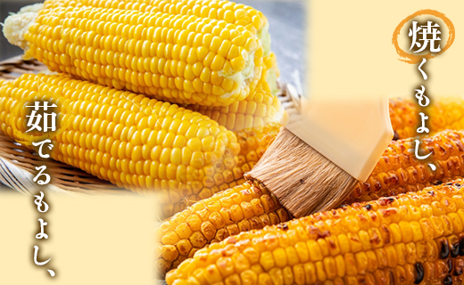 【2026年5月下旬より順次配送】朝どれスイートコーン 2.5kg以上(7～8本) - トウモロコシ とうもろこし 野菜 国産 産地直送 期間限定 季節限定 旬彩ファームやまさき sy-0001