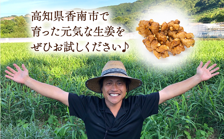 éŠååžç£ å¥åœ¹ã®çå§ 2kg - ãããã ã·ã§ãŠã¬ ãžã³ãžã£ãŒ è¬å³ èª¿å³æ åœç£ æ ªåŒäŒç€Ÿã¹ã£ã¡ãã é«ç¥ç éŠååž bc-0014