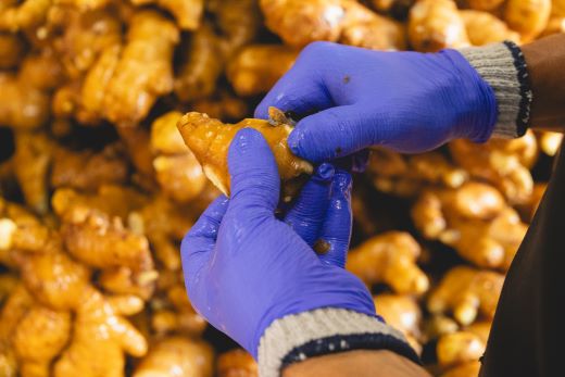 éŠååžç£ å¥åœ¹ã®çå§ 2kg - ãããã ã·ã§ãŠã¬ ãžã³ãžã£ãŒ è¬å³ èª¿å³æ åœç£ æ ªåŒäŒç€Ÿã¹ã£ã¡ãã é«ç¥ç éŠååž bc-0014