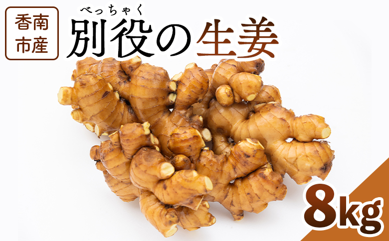 香南市産 別役の生姜 8kg - しょうが ショウガ ジンジャー 薬味 調味料 国産 株式会社べっちゃく 高知県 香南市 bc-0016