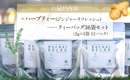 ハーブティー（ジンジャーリフレッシュ）合計36袋セット（3袋入り×12パック） - お茶 飲み物 飲料 ティーバッグ 茶葉 ティータイム 生姜 しょうが ローズマリー はーぶ リラックス ギフト 紅茶 お茶の時間 ほっと時間 温かい ほっと一息 美味しい おいしい ご挨拶 あいさつ 手土産 記念日 内祝い プレゼント 贈り物 贈答品 贈答用 おとりよせ お取り寄せ パーティ パック 便利 チャック付き GREEN BASE 高知県 香南市 常温 gr-0163