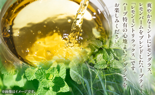ハーブティー（レモンミントリラックス）合計72袋セット（3袋入り×24パック） - お茶 飲み物 飲料 ティーバッグ 茶葉 ティータイム はーぶ リラックス ギフト プレゼント 贈り物 熨斗対応可 のし 紅茶 お茶の時間 ほっと時間 温かい ほっと一息 美味しい おいしい ご挨拶 あいさつ 手土産 記念日 内祝い プレゼント 贈り物 贈答品 贈答用 おとりよせ お取り寄せ パーティ パック 便利 チャック付き 檸檬 レモングラス レモンバーム GREEN BASE 高知県 香南市 常温 gr-0168