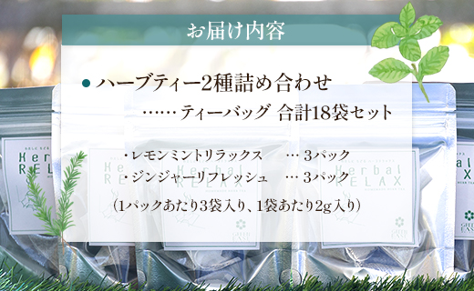 ブレンドハーブティー2種の詰め合わせセット - お茶 飲み物 ティーバッグ 茶葉 ミント レモングラス ローズマリー のし ギフト 贈り物 GreenBase 高知県 香南市 gr-0153