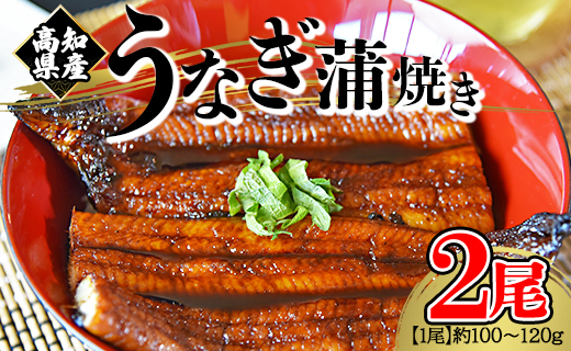 【大人気！】高知県産養殖うなぎ蒲焼き 2尾(合計200g以上) - 鰻 ウナギ 養殖 かばやき タレ付き たれ おつまみ スタミナ 土用の丑の日 うな丼 うな重 丼ぶり どんぶり 一品 おかず 美味しい おいしい 贅沢 ぜいたく 料理 アレンジ ひつまぶし 魚介 肴 さかな 夕食 夕飯 朝食 ご飯のお供 ごはん おとりよせ お取り寄せ グルメ パック お祝い 御祝い 御礼 お礼 記念日 ご褒美 ごほうび  プレゼント ギフト 内祝い 1万円以上 10000円以上 国産 高知県 香南市 冷凍 fb-0018