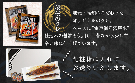 【２回定期便】高知県産養殖うなぎ蒲焼き 約200g×１尾 Wfb-0045