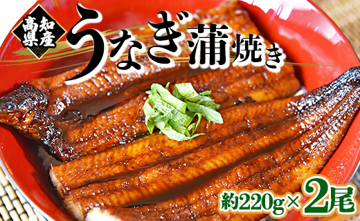 国産養殖うなぎ蒲焼き 2尾（合計約440g）高知県産鰻 - 鰻 ウナギ かばやき 蒲焼 土用の丑の日 スタミナ 夕飯 有頭 約220g おかず おつまみ うな丼 うな重 丼ぶり 丼物 さかな 肴 夕飯 夕食 朝食 お酒 グルメ 美味しい おいしい タレ付き たれ おいしい 美味しい ひつまぶし 丼ぶり 贅沢 ぜいたく お取り寄せ おとりよせ パック お祝い 内祝い 御礼 お礼 お歳暮 うなぎ大好き お礼 御礼 挨拶 あいさつ 贈り物 送料無料 高知県 香南市 冷凍 fb-0012