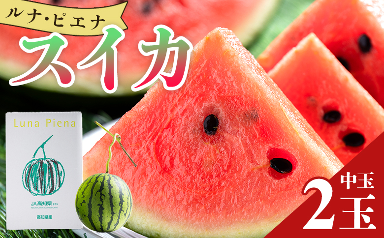 空中立体栽培で太陽の愛情をたっぷり受けた ルナ・ピエナスイカ(中玉) 2玉 -「今夜はナゾトレ」に取り上げられました すいか 果物 くだもの フルーツ 赤肉 赤玉 2個 ジューシー 甘い 贈答用 ギフト お祝い 高知県 香南市 yu-0016