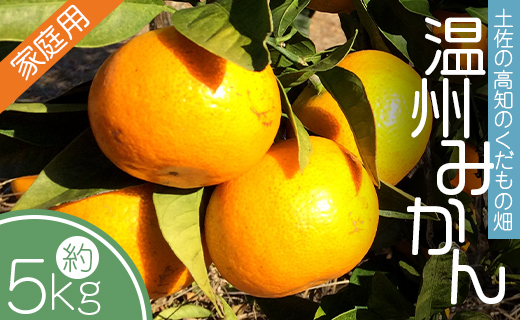 【先行予約】土佐の高知のくだもの畑 みかん(家庭用)5kg - みかん 訳あり 母の日 アイス みかんジュース ミカン kd-0025