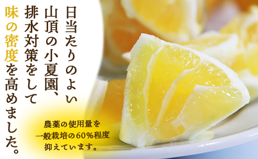 ã2026幎åºè·åãå°å€(æ¥åå€) 5kg èš³ãã é«ç¥ å®¶åºçš åäœ ããŠã¹å°å€ èš³ãã ããªã€ æç© ãã«ãŒã åäœã®é«ç¥ã®ãã ãã®ç ãå
è¡äºçŽã - ææ© ãããã åœç£ çã kd-0030