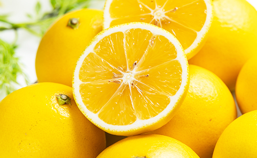 【2026年出荷分】ハウス小夏(日向夏) 2.5kg(家庭用) 高知 土佐 こなつ 果物 フルーツ 土佐の高知のくだもの畑 【先行予約】 - 家庭用 訳あり 小夏 ハウス ミカン みかん 蜜柑 柑橘 果物 フルーツ こなつ のし対応可 熨斗 国産 kd-0029