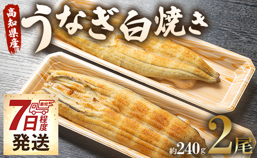【7日程度で発送】うなぎ白焼き 2尾(合計約240g)(無頭) - 送料無料 鰻 ウナギ 魚介 惣菜 おかず 山椒塩 ギフト のし 贈り物 プレゼント 贈答 丑の日 うなぎ屋きた本 高知県 香南市 冷凍 スピード un-0017