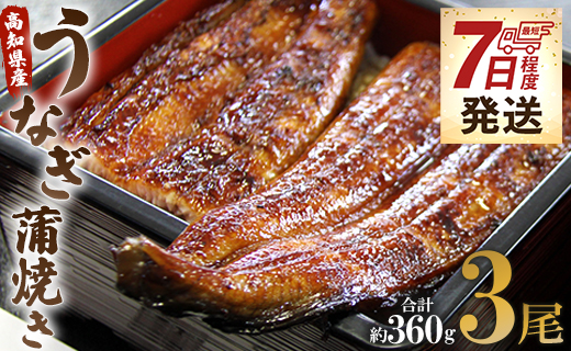 うなぎ蒲焼き 3尾(合計約360g)(無頭) - 送料無料 鰻 ウナギ 魚介 晩ご飯 夕飯 おかず おつまみ スピード スタミナ 敬老の日 ギフト 贈答 贈り物 丑の日 うなぎ屋きた本 高知県 香南市 冷凍 un-0015