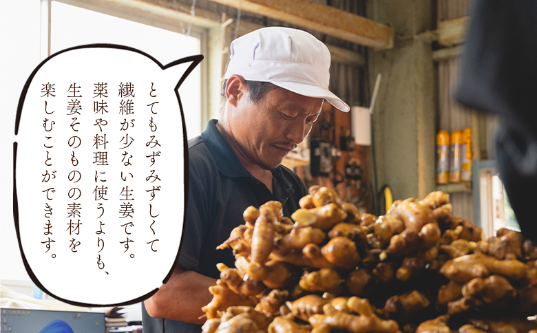 éŠååžç£ å¥åœ¹ã®çå§ 2kg - ãããã ã·ã§ãŠã¬ ãžã³ãžã£ãŒ è¬å³ èª¿å³æ åœç£ æ ªåŒäŒç€Ÿã¹ã£ã¡ãã é«ç¥ç éŠååž bc-0014