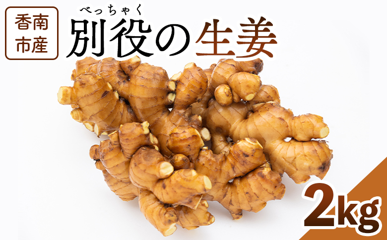 香南市産 別役の生姜 2kg - しょうが ショウガ ジンジャー 薬味 調味料 国産 株式会社べっちゃく 高知県 香南市 bc-0014