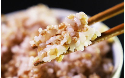 ãã¡éºŠïŒãã€ã·ã¢ãïŒ åèš2.7kg - ã©ã€ã¹ ããã ãã«ãã ãåŒåœ å€é£¯ å€é£ æé£ ããããã æããã ãã£ã¡ã 飿 æç ã¢ã¬ã³ãž 䞌 2.7ãã çŸå³ãã çŸå³ãã ããã®ãã ãã¬ãŒã³ã èŽãç© é£ç©ç¹ç¶ ããã©ã« è±å¯ çšæ ã®ã ãã¡ãã åœç£ ç©ç© éç© å€§éºŠ ãã«ã·ãŒ æ··ãã ãŸããã ã çã ãã¡ãã¡ ã¢ãã¢ã ç±³ ãã¯ã åžžæž© yr-0065