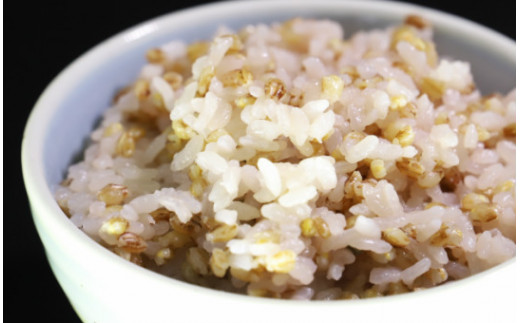 ãã¡éºŠïŒãã€ã·ã¢ãïŒ åèš2.7kg - ã©ã€ã¹ ããã ãã«ãã ãåŒåœ å€é£¯ å€é£ æé£ ããããã æããã ãã£ã¡ã 飿 æç ã¢ã¬ã³ãž 䞌 2.7ãã çŸå³ãã çŸå³ãã ããã®ãã ãã¬ãŒã³ã èŽãç© é£ç©ç¹ç¶ ããã©ã« è±å¯ çšæ ã®ã ãã¡ãã åœç£ ç©ç© éç© å€§éºŠ ãã«ã·ãŒ æ··ãã ãŸããã ã çã ãã¡ãã¡ ã¢ãã¢ã ç±³ ãã¯ã åžžæž© yr-0065