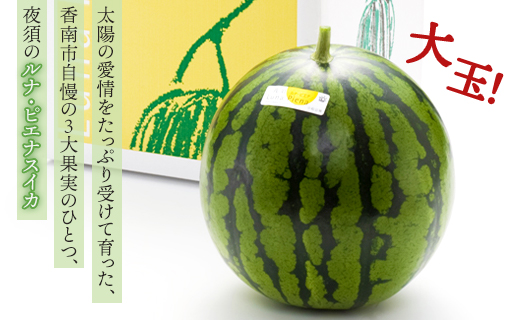 【2026年5月下旬より順次配送】空中立体栽培で太陽の愛情をたっぷり受けた ルナ・ピエナスイカ(大玉) - スイカ 高知県産 ルナピエナ ギフト 贈り物 のし フルーツ大好き 西瓜 果物 夏の果物 yu-0044