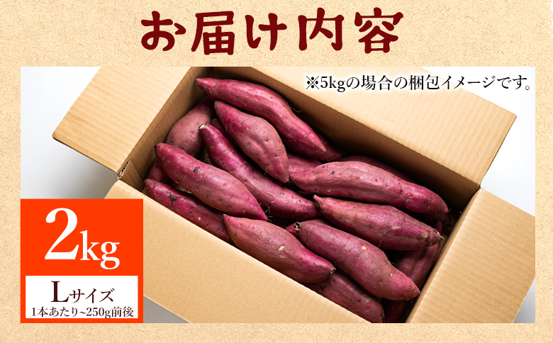 さつまいも(紅はるか) Lサイズ 2kg - サツマイモ さつま芋 野菜 焼き芋 やきいも 焼いも 蒸し芋 おやつ スイーツ スイートポテト 国産 アスタ農園 高知県 香南市【常温】 at-0061