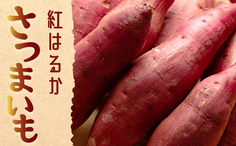 さつまいも(紅はるか) Lサイズ 2kg - サツマイモ さつま芋 野菜 焼き芋 やきいも 焼いも 蒸し芋 おやつ スイーツ スイートポテト 国産 アスタ農園 高知県 香南市【常温】 at-0061