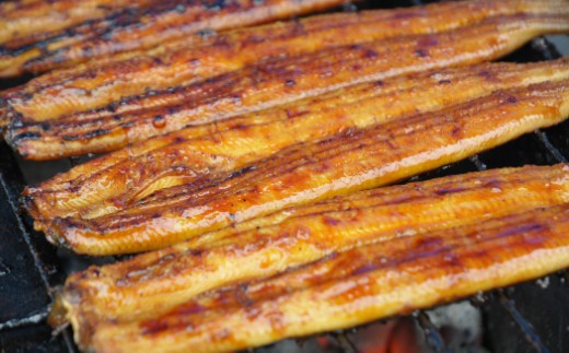 うなぎ 定期便 2回 うなぎ蒲焼き&白焼き120g 1尾(無頭)　交互にお届け 魚介 国産 海鮮 魚 かばやき 鰻 ウナギ 惣菜 おかず お手軽 加工品 加工食品 冷凍 しらやき セット 食べ比べ Wun-0043