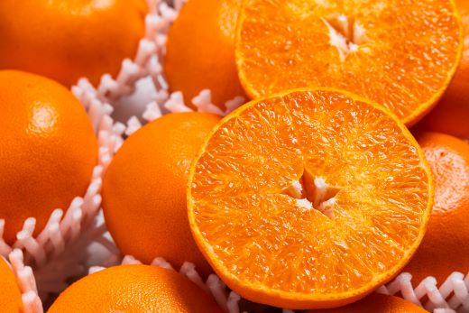 ã什å9幎2æçºééå§ããšãã£ãšãžã¥ãŒã·ãŒææ©ã®å¥³ç ããšã çŽ3kgïŒ8ã14çïŒ èŽççš ku-0057