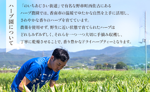 ハーブティー（レモンミントリラックス）合計54袋セット（3袋入り×18パック） - お茶 飲み物 飲料 ティーバッグ 茶葉 ティータイム はーぶ リラックス ギフト プレゼント 贈り物 熨斗対応可 のし 紅茶 お茶の時間 ほっと時間 温かい ほっと一息 美味しい おいしい ご挨拶 あいさつ 手土産 記念日 内祝い プレゼント 贈り物 贈答品 贈答用 おとりよせ お取り寄せ パーティ パック チャック 檸檬 レモングラス 爽やか さわやか いい香り GREEN BASE 高知県 香南市 常温 gr-0167