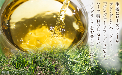 ハーブティー（ジンジャーリフレッシュ）合計54袋セット（3袋入り×18パック） - お茶 飲み物 飲料 ティーバッグ 茶葉 ティータイム 生姜 しょうが ローズマリー はーぶ リラックス ギフト 紅茶 お茶の時間 ほっと時間 温かい ほっと一息 美味しい おいしい ご挨拶 あいさつ 手土産 記念日 内祝い プレゼント 贈り物 贈答品 贈答用 おとりよせ お取り寄せ パーティ パック 便利 チャック付き GREEN BASE 高知県 香南市 常温 gr-0164