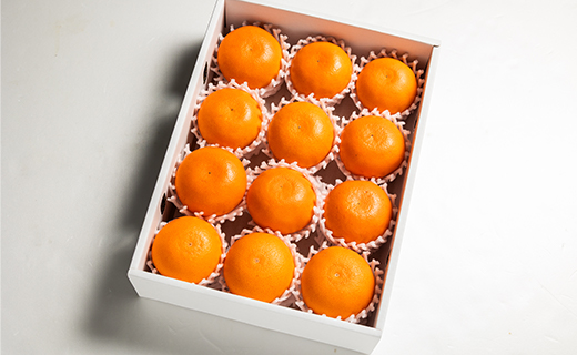 ã什å9幎2æçºééå§ããšãã£ãšãžã¥ãŒã·ãŒææ©ã®å¥³ç ããšã çŽ3kgïŒ8ã14çïŒ èŽççš ku-0057