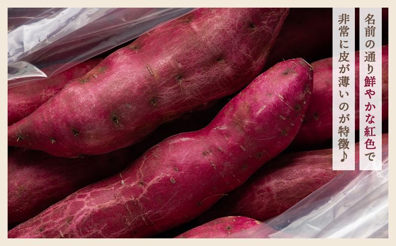 【８月発送開始】さつまいも（土佐紅）3kg - サツマイモ さつま芋 野菜 焼き芋 やきいも 焼いも おやつ スイーツ スイートポテト バター焼き アレンジ 料理 国産 高知県 香南市 yr-0043