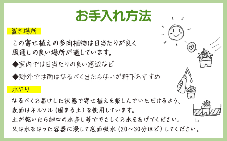 多肉植物の寄せ植え 1個 - 鉢植え インテリア ガーデニング おしゃれ グリーン プレゼント 観葉植物 多肉 植物 寄せ植え かわいい お楽しみ 自然 PUKUTTO 高知県 香南市 pk-0004