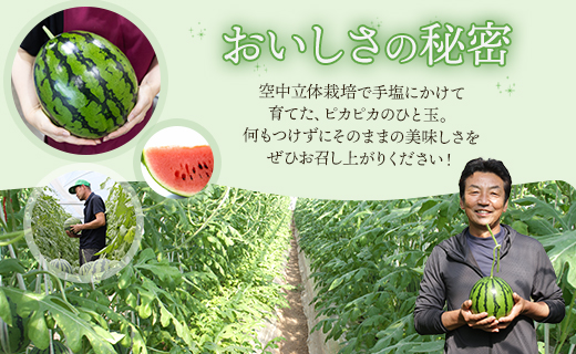 【2026年5月下旬より順次配送】空中立体栽培で太陽の愛情をたっぷり受けた ルナ・ピエナスイカ(大玉) - スイカ 高知県産 ルナピエナ ギフト 贈り物 のし フルーツ大好き 西瓜 果物 夏の果物 yu-0044