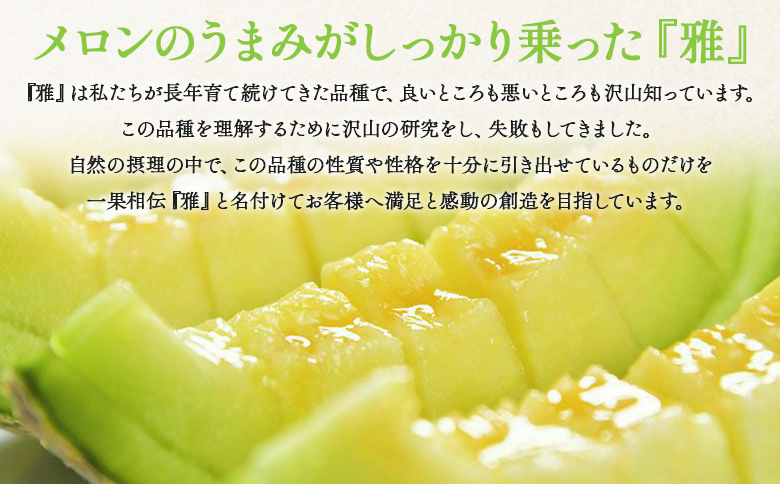 【先行予約受付】メロン 赤肉 青肉 家庭用 2玉 高級 雅&妃 マスクメロン 各１玉 tn-0026