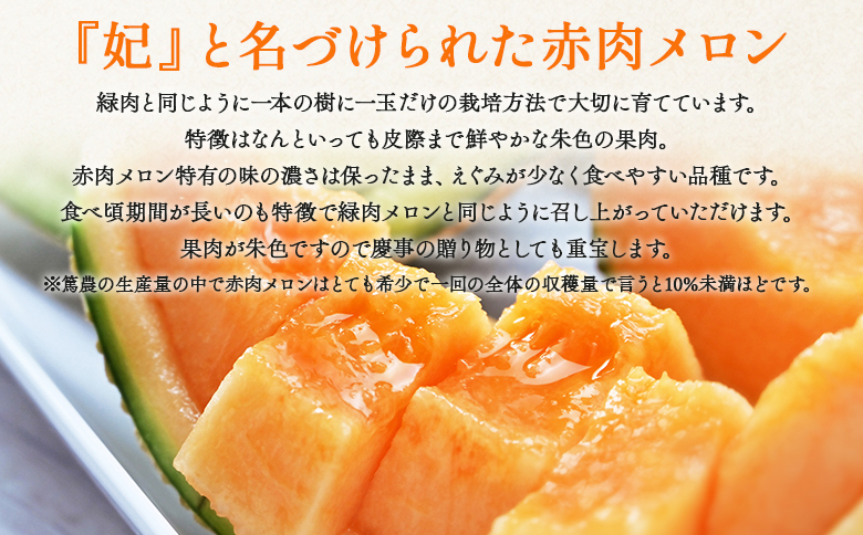 【先行予約受付】メロン 赤肉 青肉 家庭用 2玉 高級 雅&妃 マスクメロン 各１玉 tn-0026